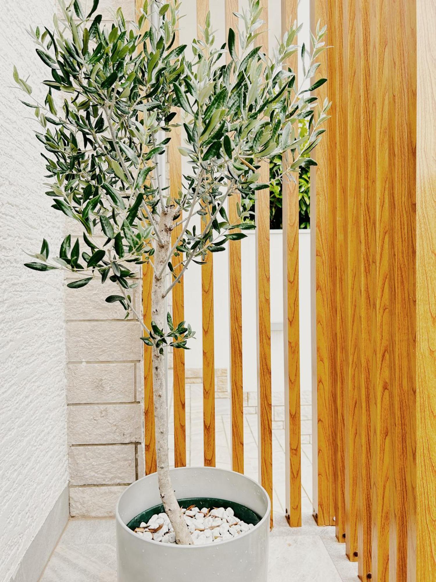 شقة Sunny House زامبراتيجا المظهر الخارجي الصورة